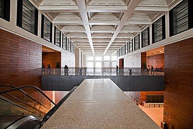 宫崎英高谈《艾尔登法环》首发：不开心，没开心过