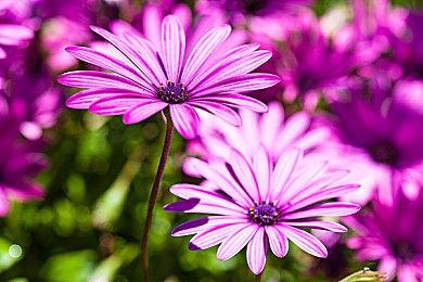 《最终幻想7重制版》蒂法清凉福利Mod 女神更逼真